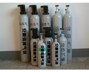 江苏江苏医疗仪器校准用标准气体